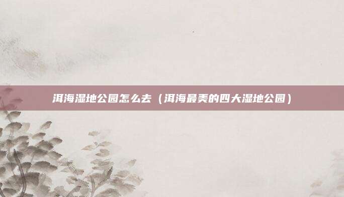 洱海湿地公园怎么去（洱海最美的四大湿地公园）