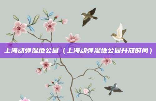 上海动弹湿地公园（上海动弹湿地公园开放时间）