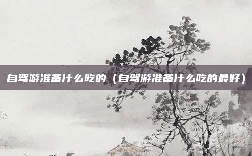 自驾游准备什么吃的（自驾游准备什么吃的最好）