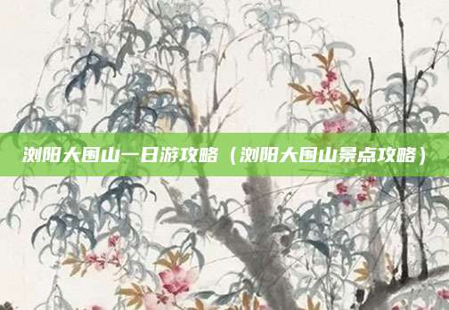 浏阳大围山一日游攻略(浏阳大围山景点攻略)