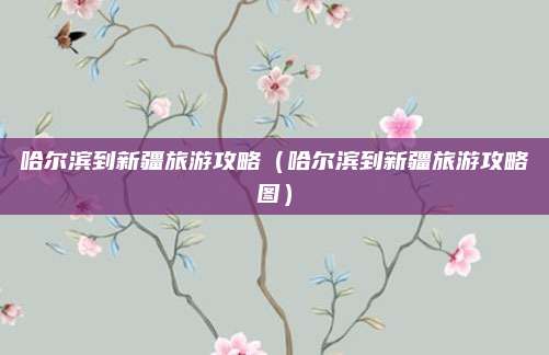 哈尔滨到新疆旅游攻略（哈尔滨到新疆旅游攻略图）