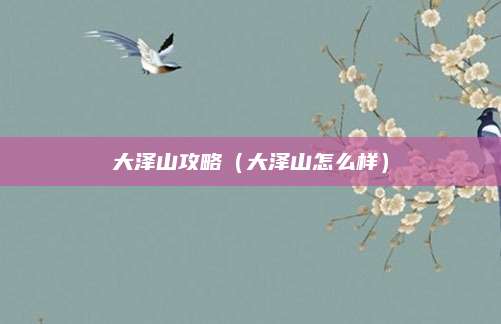 大泽山攻略（大泽山怎么样）