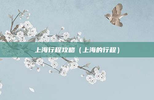 上海行程攻略（上海的行程）