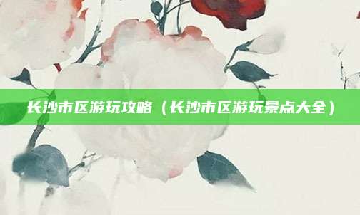 长沙市区游玩攻略（长沙市区游玩景点大全）