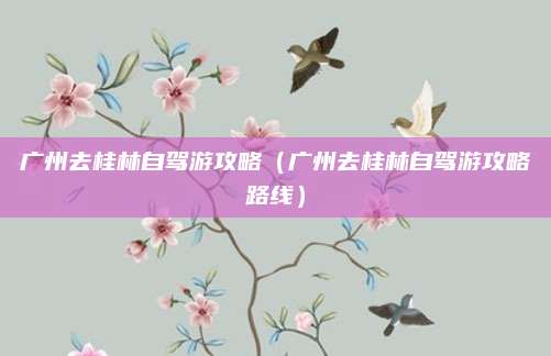 广州去桂林自驾游攻略（广州去桂林自驾游攻略路线）