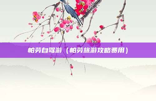帕劳自驾游（帕劳旅游攻略费用）