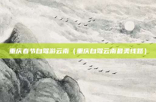 重庆春节自驾游云南(重庆自驾云南最美线路)