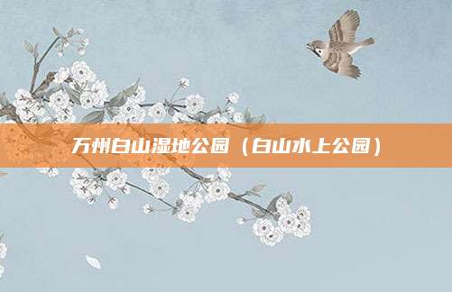 万州白山湿地公园（白山水上公园）