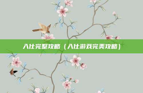 入仕完整攻略（入仕游戏完美攻略）
