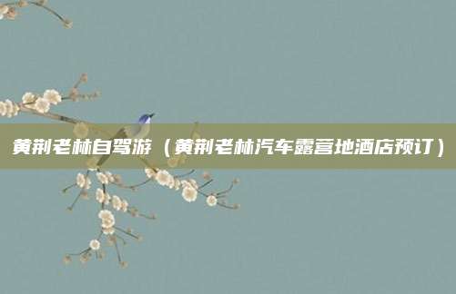 黄荆老林自驾游（黄荆老林汽车露营地酒店预订）