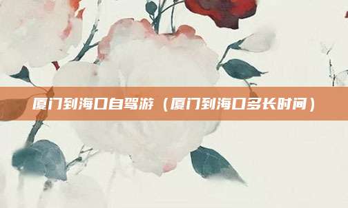 厦门到海口自驾游（厦门到海口多长时间）