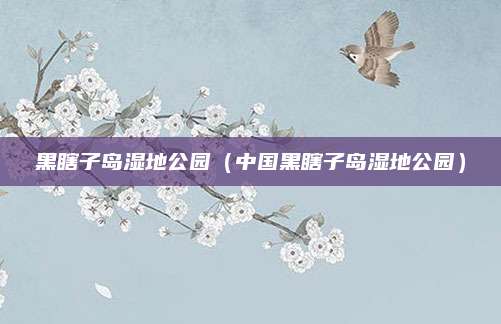 黑瞎子岛湿地公园（中国黑瞎子岛湿地公园）