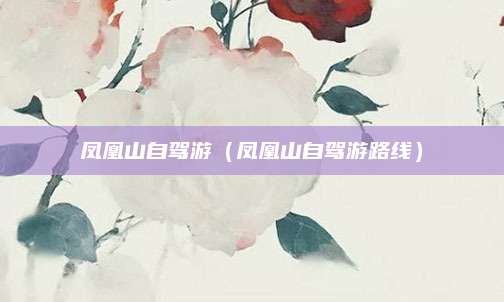 凤凰山自驾游(凤凰山自驾游路线)