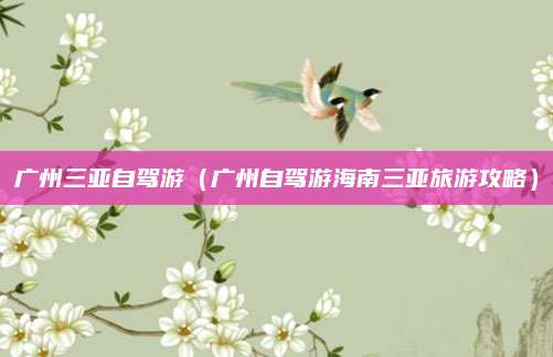 广州三亚自驾游（广州自驾游海南三亚旅游攻略）