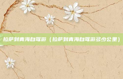 拉萨到青海自驾游（拉萨到青海自驾游多少公里）