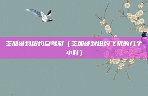 芝加哥到纽约自驾游（芝加哥到纽约飞机的几个小时）