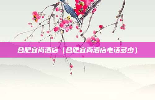 合肥宜尚酒店(合肥宜尚酒店电话多少)