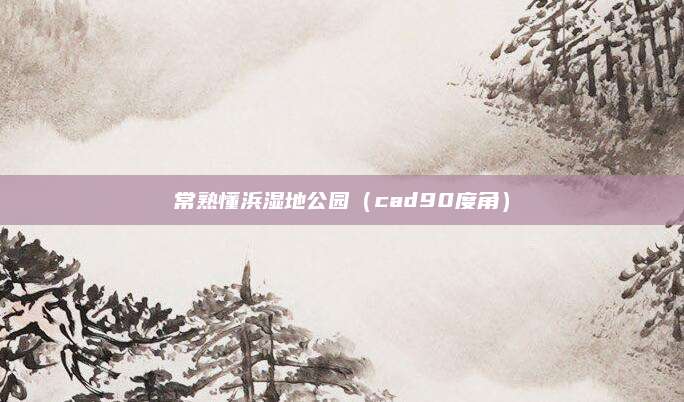 常熟懂浜湿地公园（cad90度角）