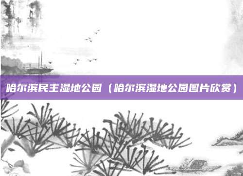 哈尔滨民主湿地公园(哈尔滨湿地公园图片欣赏)