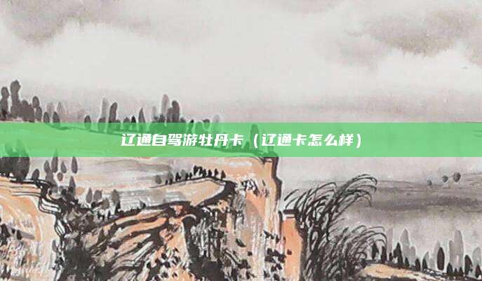 辽通自驾游牡丹卡（辽通卡怎么样）