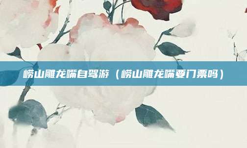 崂山雕龙嘴自驾游(崂山雕龙嘴要门票吗)
