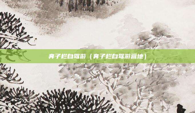 奔子栏自驾游(奔子栏自驾游营地)