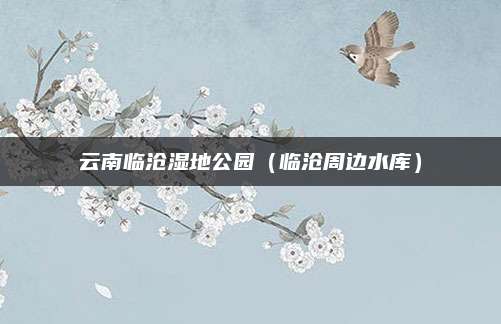 云南临沧湿地公园（临沧周边水库）
