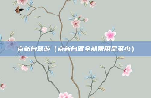 京新自驾游（京新自驾全部费用是多少）