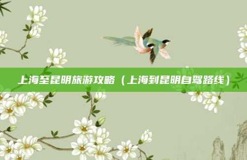 上海至昆明旅游攻略(上海到昆明自驾路线)