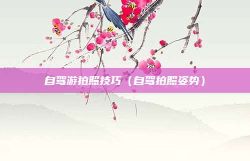 自驾游拍照技巧（自驾拍照姿势）