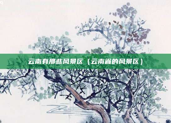 云南有那些风景区（云南省的风景区）