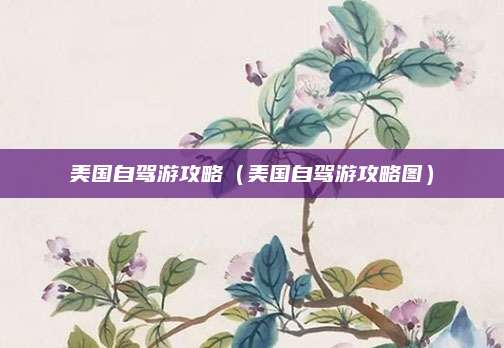 美国自驾游攻略(美国自驾游攻略图)