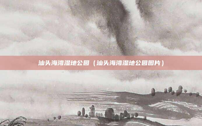 汕头海湾湿地公园(汕头海湾湿地公园图片)