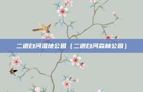 二道白河湿地公园（二道白河森林公园）