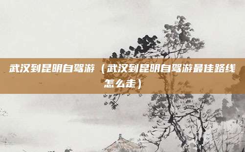 武汉到昆明自驾游（武汉到昆明自驾游最佳路线怎么走）