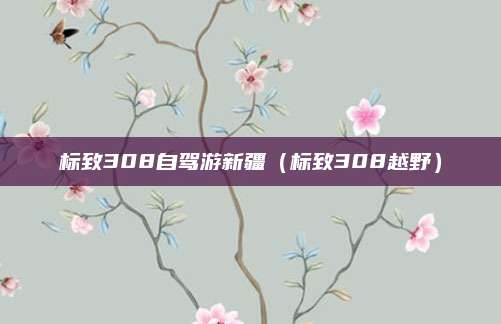 标致308自驾游新疆（标致308越野）