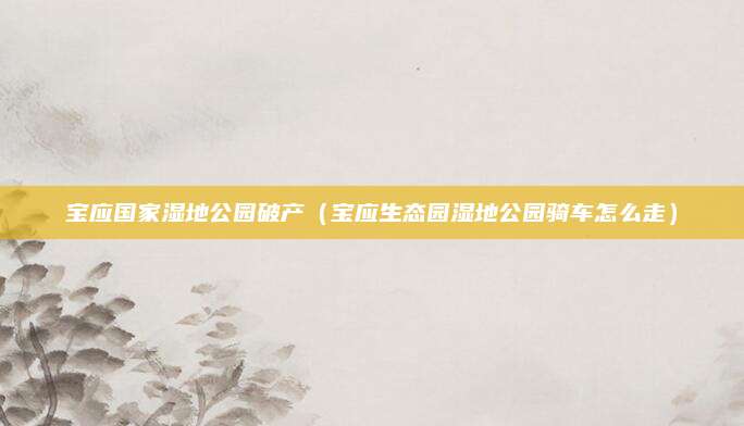 宝应国家湿地公园破产(宝应生态园湿地公园骑车怎么走)