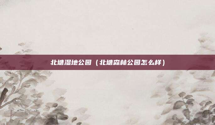 北塘湿地公园（北塘森林公园怎么样）