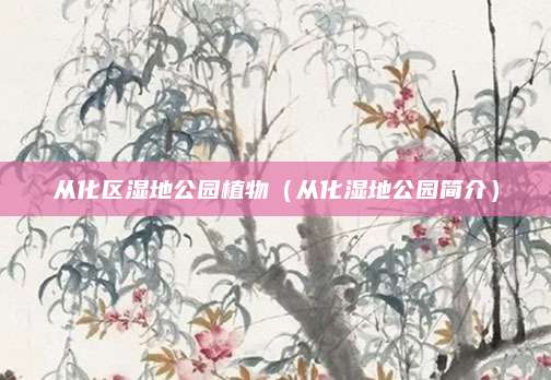 从化区湿地公园植物（从化湿地公园简介）