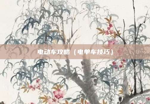电动车攻略（电单车技巧）