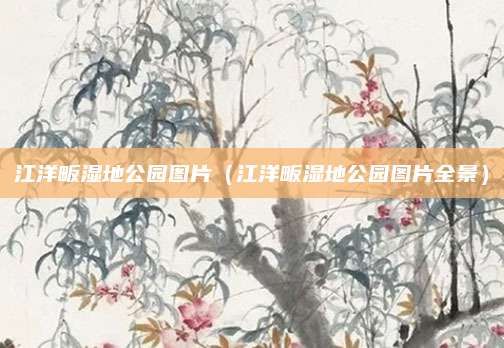 江洋畈湿地公园图片（江洋畈湿地公园图片全景）
