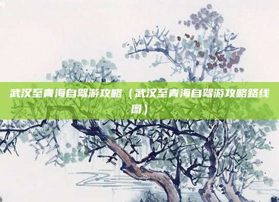 武汉至青海自驾游攻略（武汉至青海自驾游攻略路线图）
