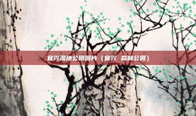 宜兴湿地公园图片(宜兴 森林公园)