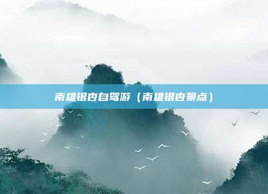 南雄银杏自驾游(南雄银杏景点)
