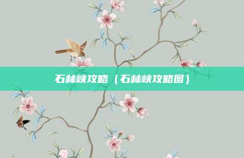 石林峡攻略(石林峡攻略图)