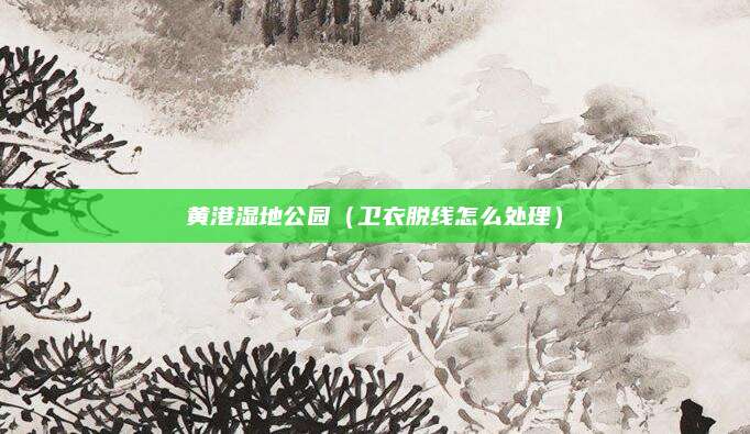 黄港湿地公园(卫衣脱线怎么处理)