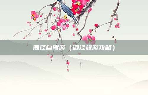 泗泾自驾游（泗泾旅游攻略）