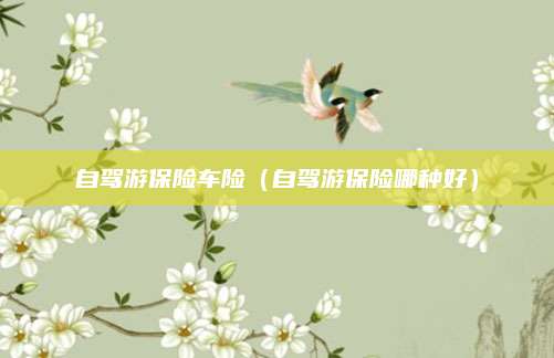 自驾游保险车险（自驾游保险哪种好）