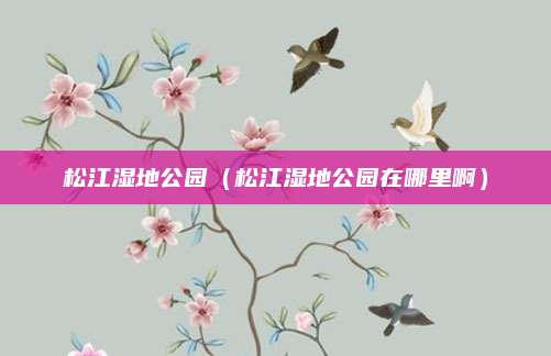 松江湿地公园(松江湿地公园在哪里啊)