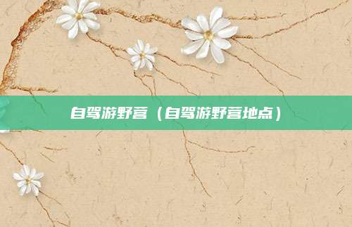 自驾游野营（自驾游野营地点）